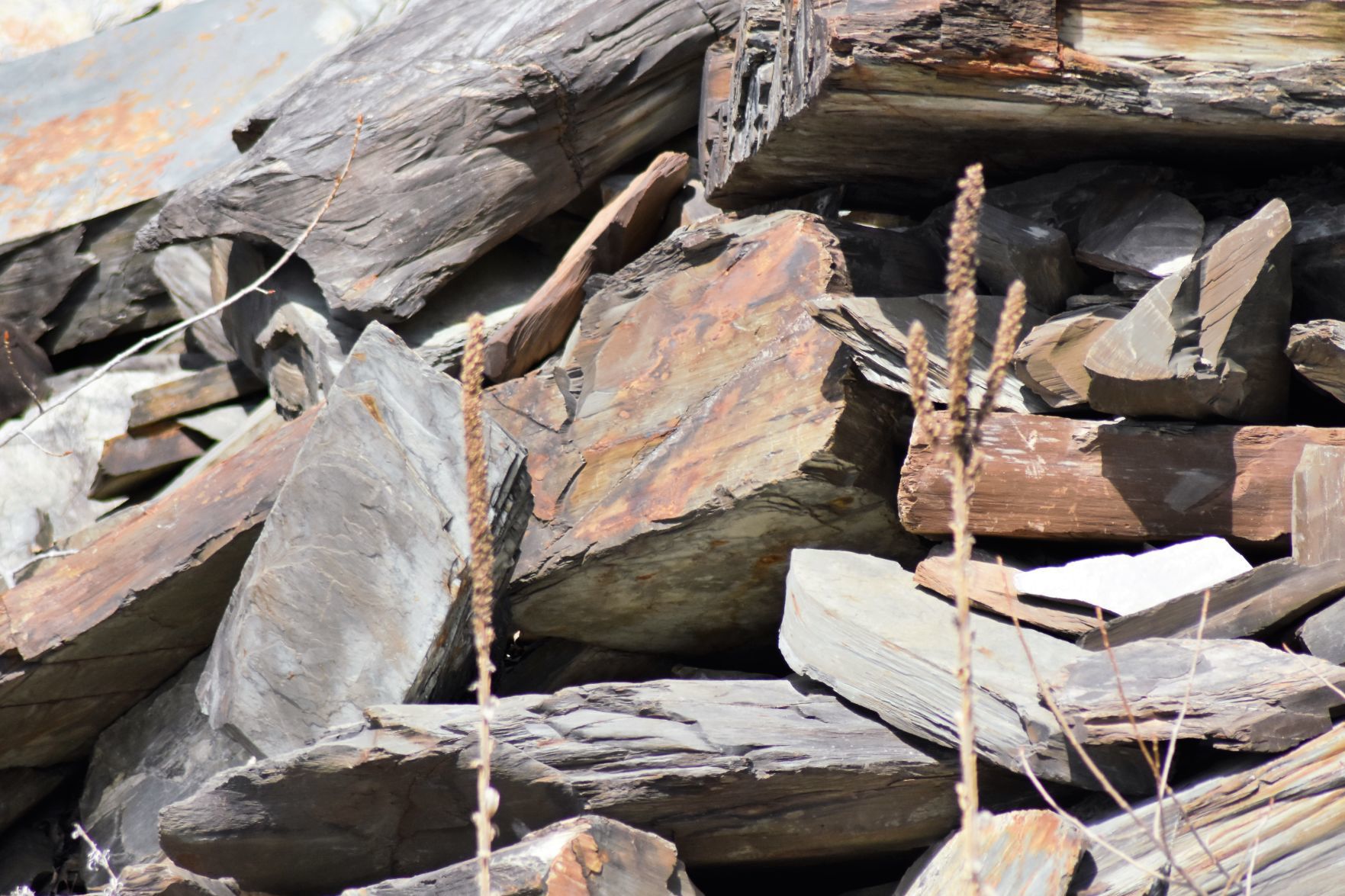 Slate slag piles